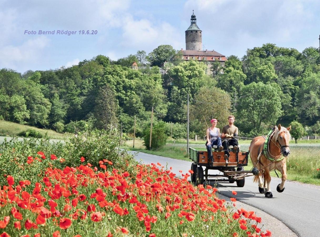 Pension Gruenes Herz Tonndorf Екстериор снимка