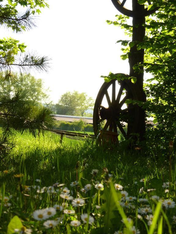 Pension Gruenes Herz Tonndorf Екстериор снимка